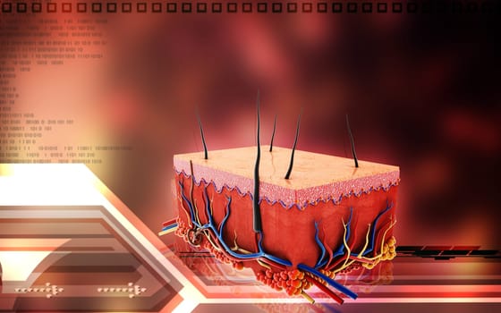 Digital illustration of Skin in colour background