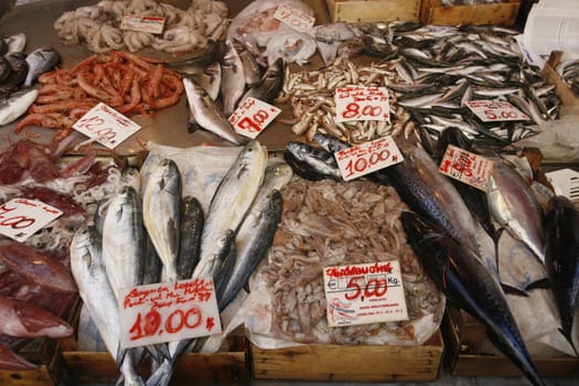 the fish market in the old town of Siracusa in Sicily in south Italy in Europe.