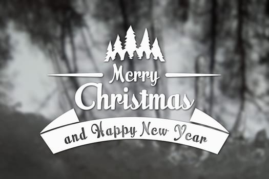 Merry Christmas and New Year greeting card on blurred trees at winter black and white background