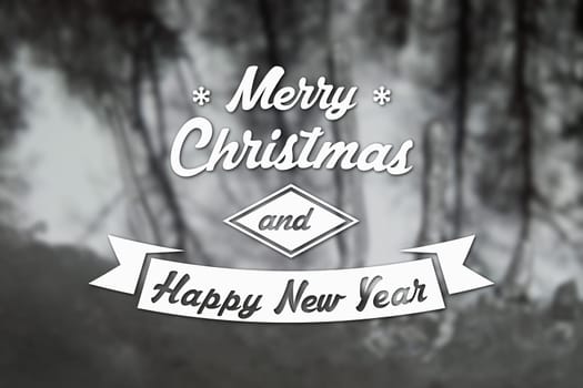 Merry Christmas and New Year greeting card on blurred trees at winter black and white background