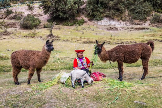 Cuzco, Peru - July 13, 2013