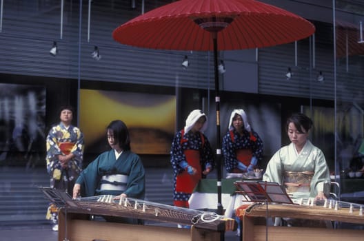 a tea ceremony in a traditional teahouse in the City centre of Tokyo in Japan in Asia,....