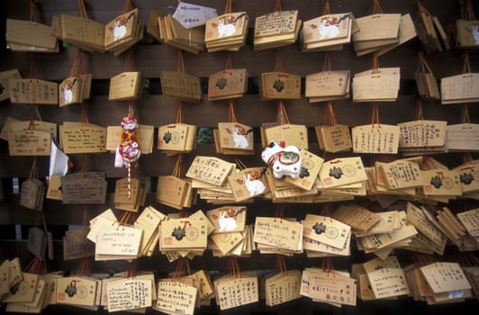 in the Asakusa Senso Ji Temple of Tokyo in Japan in Asia,....