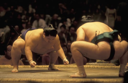 a Sumo fight in the Sumo Arena in the City centre of Tokyo in Japan in Asia,....
