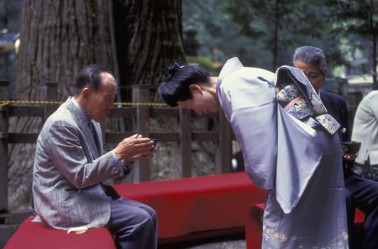 a tea ceremony in a traditional teahouse in the City centre of Tokyo in Japan in Asia,....