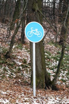 Bicycle sign painted on the asphalt road points