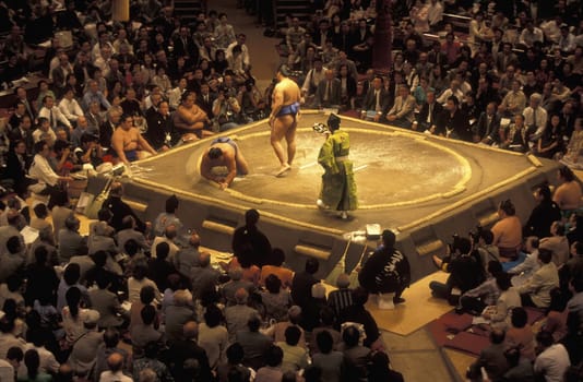 a Sumo fight in the Sumo Arena in the City centre of Tokyo in Japan in Asia,....