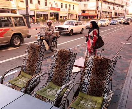 a chair in tiger style in a restaurant in the city of Bandar seri Begawan in the country of Brunei Darussalam on Borneo in Southeastasia.