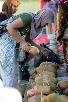 Durian at the market in the city of Bandar seri Begawan in the country of Brunei Darussalam on Borneo in Southeastasia.
