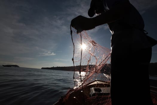 a fishermen on the coast near the city of Bandar seri Begawan in the country of Brunei Darussalam on Borneo in Southeastasia.