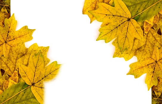 Colorful vertical frame of fallen autumn leaves chestnuts and acorns