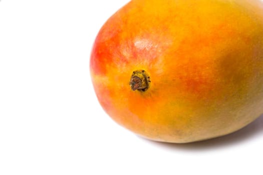 Mango fruit isolated on the white background. The picture of high quality.