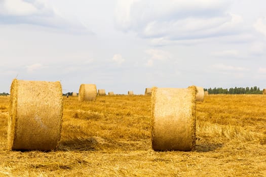 View from farmland full of straw bales at sunset