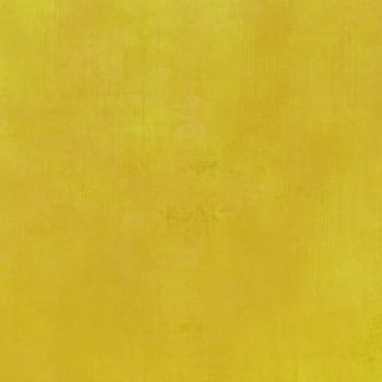 highly Detailed grunge background -with space for your design