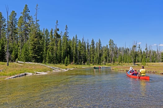 Paddling Up a Mountain Stream in The Lewis Channel in Yellowstone National Park