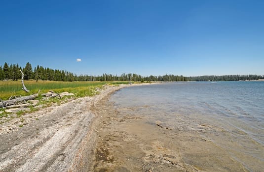 Remote Shore on a Wilderness Lake on Lewis Lake in Yellowstone National Park in Wyoming