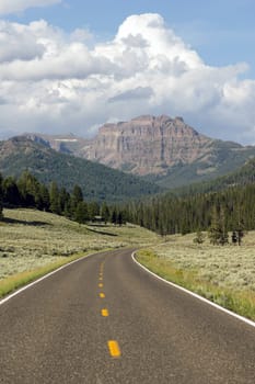 Winding road leads into the mountains of Yellowstone