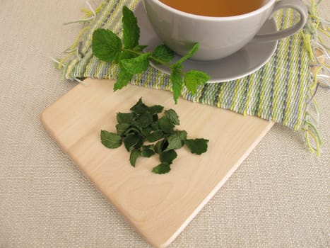 Peppermint and fresh and dried peppermint leaves