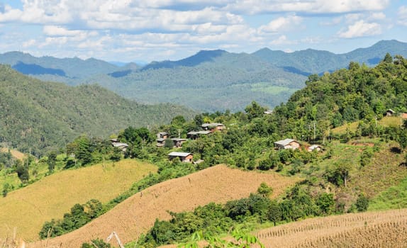 Dried corn terrace field against mountain ranges in hill tribe village, Thailand