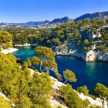 Calanques of Port Pin in Cassis in France near Marseille