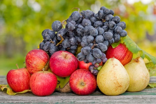 fruits in wooden table outdoor in the garden