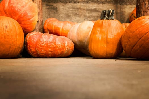 Assortment of pumpkins