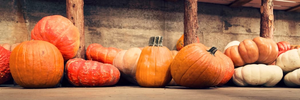 Assortment of pumpkins