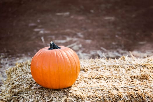 Large pumpkin background