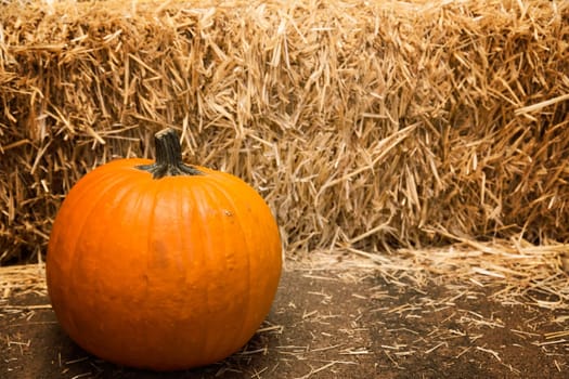 Large pumpkin background