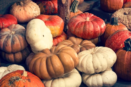 Assortment of pumpkins