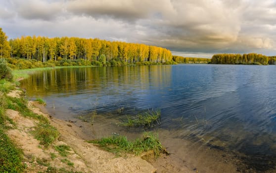 Golden autumn in the month of October in a beautiful forest
