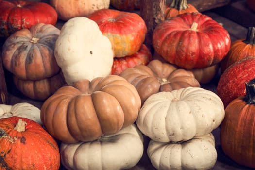 Assortment of pumpkins