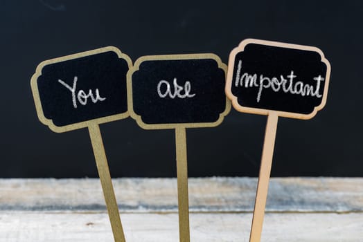 Motivational message YOU ARE IMPORTANT written with chalk on wooden mini blackboard labels, defocused chalkboard and wood table in background