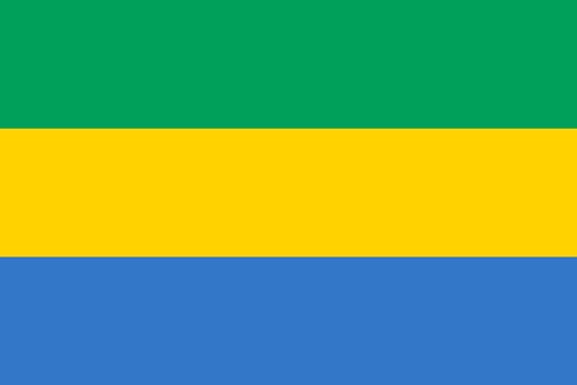Gabonese national official flag. African patriotic symbol, banner, element, background. Accurate dimensions. Flag of Gabon in correct size and colors, vector illustration