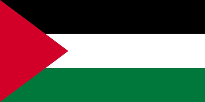 Palestinian national official flag. Patriotic symbol, banner, element, background. Accurate dimensions. Flag of Palestine in correct size and colors, vector illustration