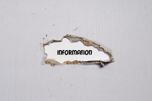 The word information appearing behind torn paper