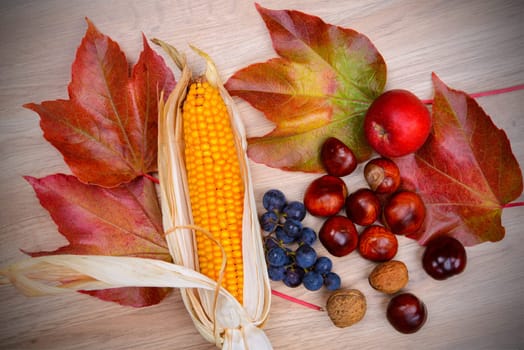autumn still life- grapes, leaves, apple, corncob,chestnut,and walnut on wooden ground