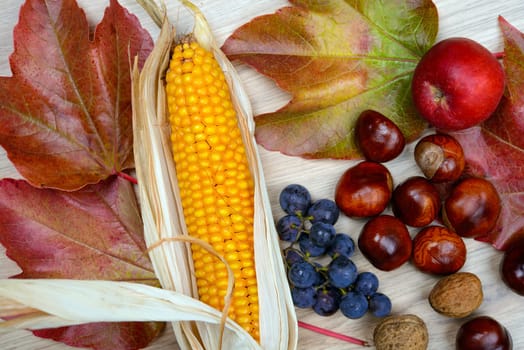 autumn still life- grapes, leaves, apple, corncob,chestnut,and walnut on wooden ground