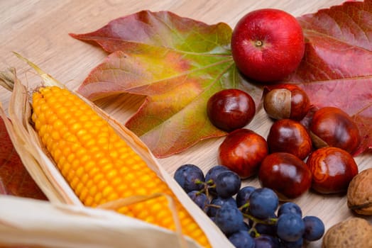 autumn still life- grapes, leaves, apple, corncob,chestnut,and walnut on wooden ground