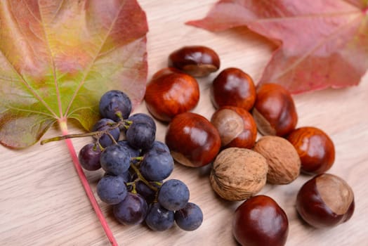 autumn still life- grapes, leaves,chestnut,and walnut on wooden ground