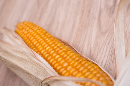 still- life- ripe corncob on wooden ground