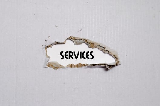 The word services appearing behind torn paper