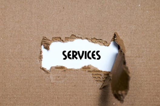 The word services appearing behind torn paper