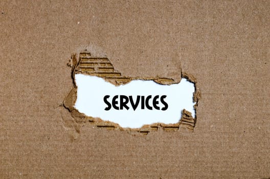 The word services appearing behind torn paper