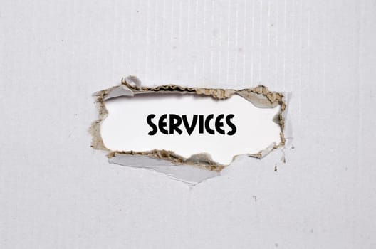 The word services appearing behind torn paper