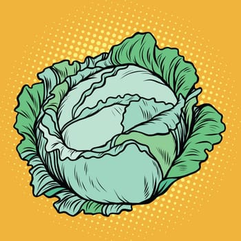 Cabbage, healthy vegetarian food, farm product, pop art retro vector illustration
