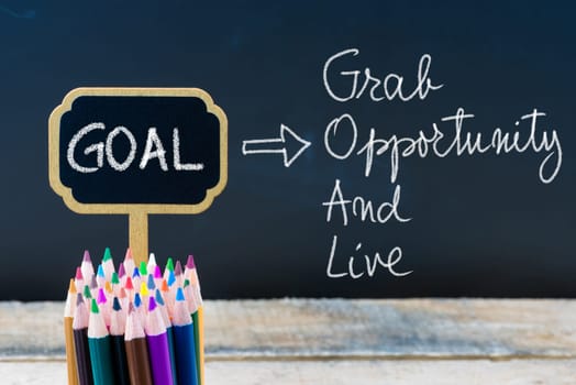 Business Acronym GOAL Grab Opportunity and Live written with chalk on wooden mini blackboard labels and chalkboard background.
