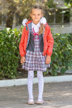 Portrait of a seven-year high school girls at school