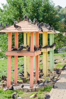 Two small pigeon with pigeons sitting on them