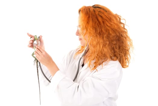 Veterinarian girl with lizard isolated in white